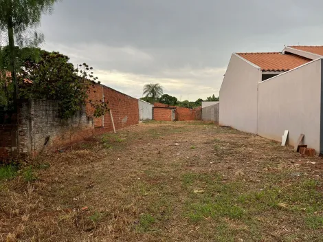 imagem 1 - Terreno - Padrão imagem 1 - Terreno - Padrão