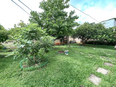 imagem 5 - Casa - Padrão imagem 5 - Casa - Padrão