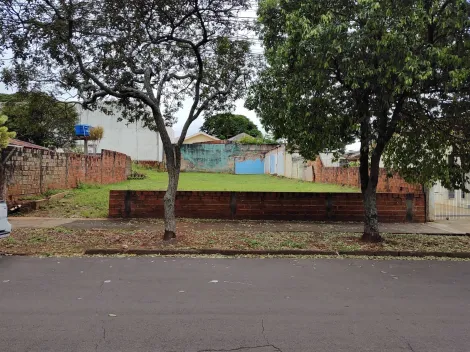 imagem 1 - Terreno - Padrão imagem 1 - Terreno - Padrão