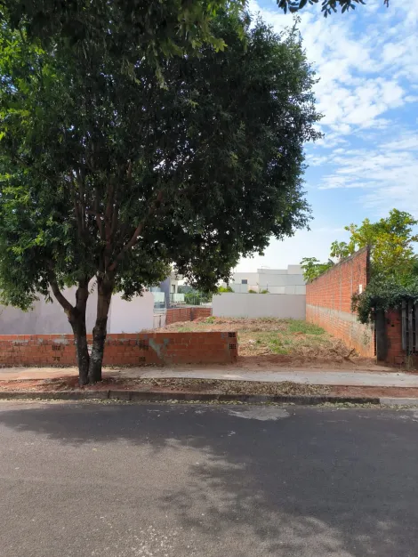 imagem 1 - Terreno - Padrão imagem 1 - Terreno - Padrão