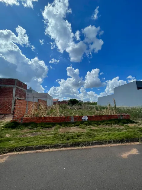 imagem 1 - Terreno - Padrão imagem 1 - Terreno - Padrão