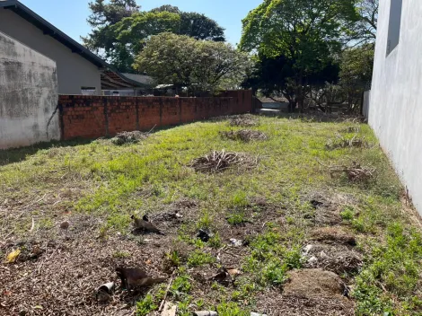 imagem 2 - Terreno - Padrão imagem 2 - Terreno - Padrão