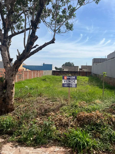 imagem 1 - Terreno - Padrão imagem 1 - Terreno - Padrão