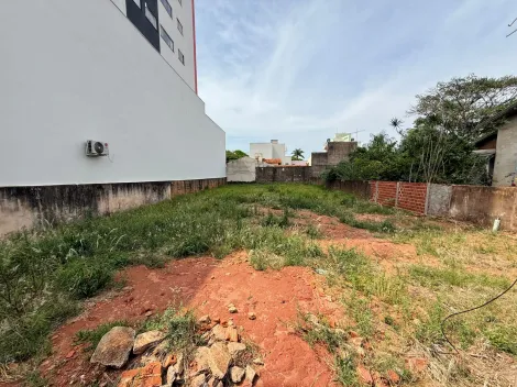 imagem 2 - Terreno - Padrão imagem 2 - Terreno - Padrão